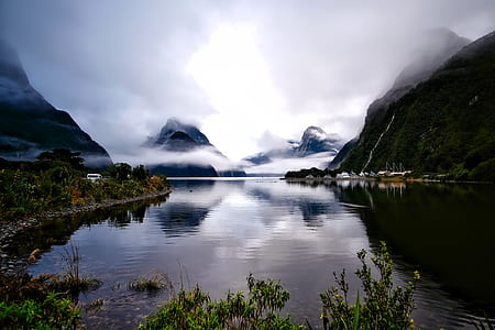 body of water surrounded of plant during daytime thumbnail