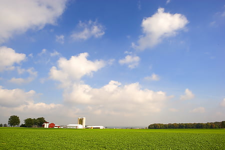 green grass field under clear sky at daytime thumbnail