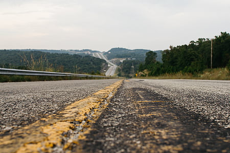 concrete road between tall trees thumbnail