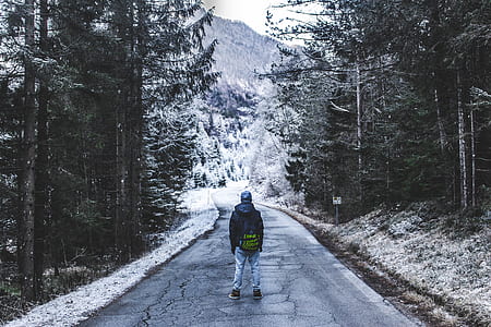 person standing on road between tall trees in front of mountain thumbnail