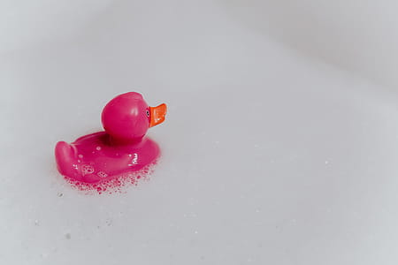 Pink rubber ducky in foam thumbnail