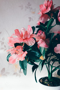 Plastic flowers thumbnail