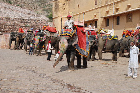 man riding elephant thumbnail