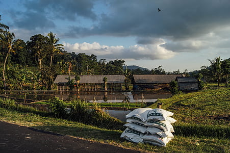 piled white sacks on grass field near body of water under cloudy skies thumbnail