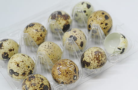 quail egg lot thumbnail