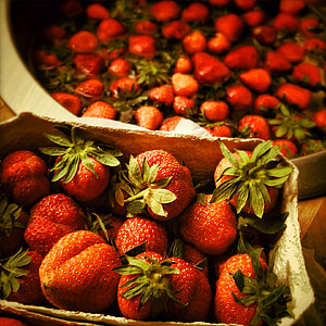 shallow focus photography of red strawberry fruits thumbnail
