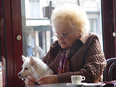 woman carrying white dog sitting on wheelchair thumbnail