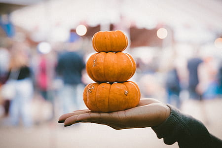 person holding three pumpkins thumbnail