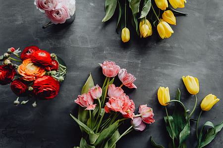 Colorful flowers on grey background with copy space thumbnail