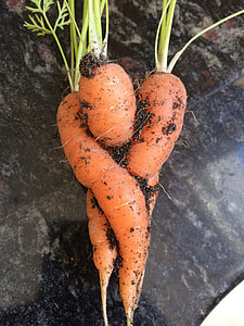 carrots on top of counter thumbnail
