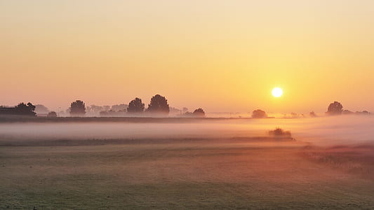 field with trees during golden hour thumbnail