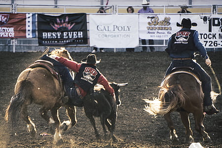 two cowboys riding horses thumbnail