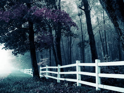 photo of white wall near trees thumbnail