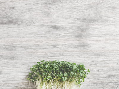 Green Vegetables thumbnail