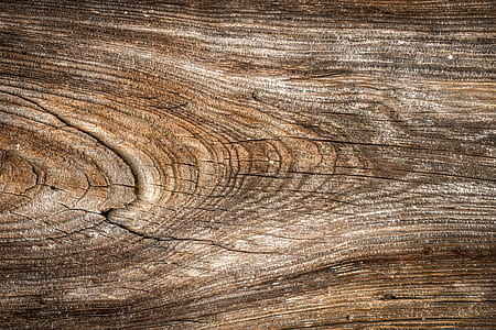 wood, texture, wild, hardwood, interior, wall thumbnail