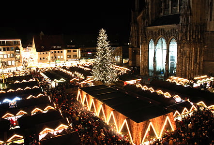 lighted city square with Christmas tree in front of cathedral during nighttime thumbnail