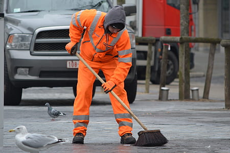 man sweeping the road near pigeons and vehicle thumbnail