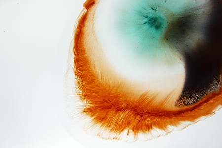 abstract photography of orange, black, and green color thumbnail