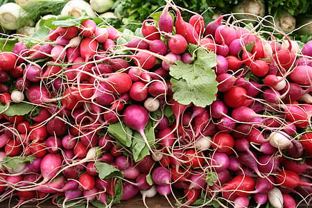 lots of onions thumbnail