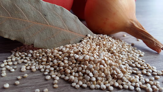 white beans and onion on brown surface thumbnail