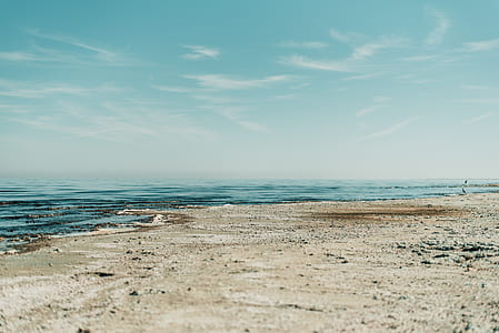 photography of seashore thumbnail