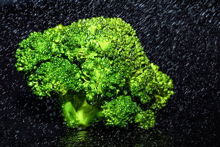 broccoli vegetable thumbnail