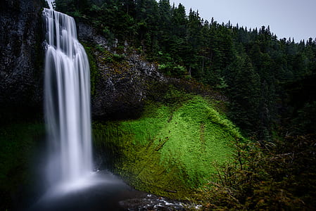 waterfalls and forest thumbnail