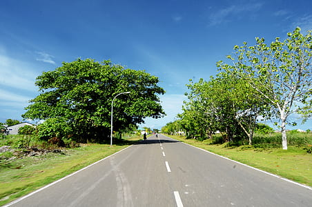 road, landscape, nature, sky thumbnail