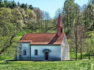 house near bare tree and hill during daytime thumbnail