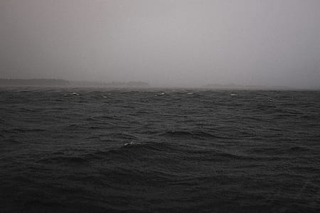 foggy sea during daytime thumbnail