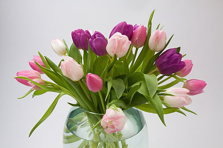 bouquet of tulips thumbnail