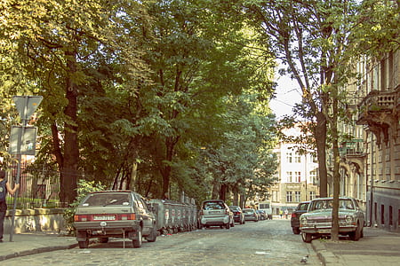 assorted vehicles on asphalt road way thumbnail