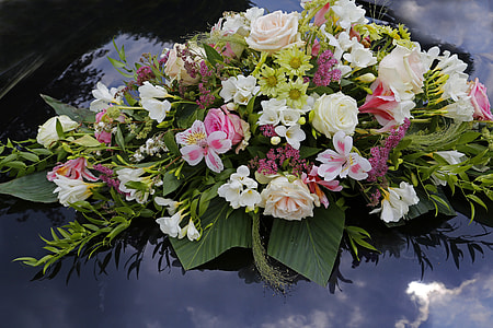 white and pink flowers thumbnail