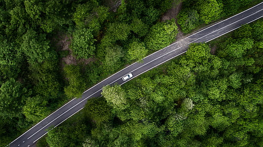 aerial photography of white vehicle on road thumbnail