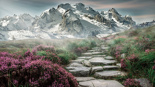 rocky pathway in front of snowy mountain during daytime thumbnail