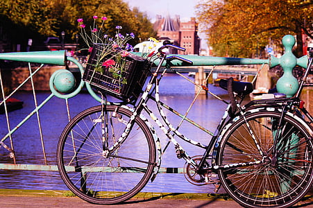city bike park beside river thumbnail