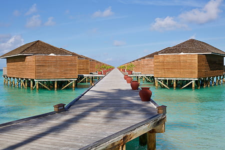 jetty with houses on body of water thumbnail