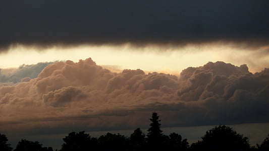 silhouette photography of trees under white clouds thumbnail