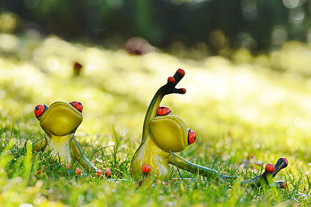 two green frogs thumbnail