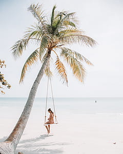 woman sitting on swing chair under palm tree on beach thumbnail