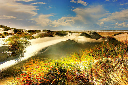landscape photo of field thumbnail
