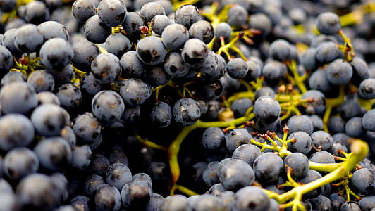 healthy, alcohol, drink, fruits thumbnail