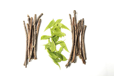 green leaves thumbnail