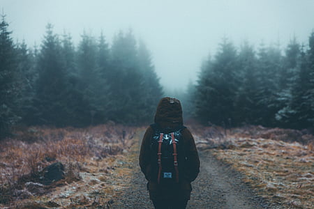 man walking on pathway thumbnail