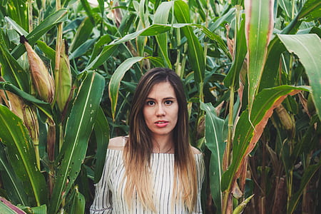 woman standing near corn during daytime photo thumbnail