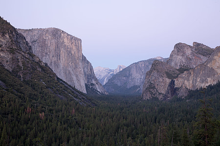 green leafed trees beside mountain thumbnail