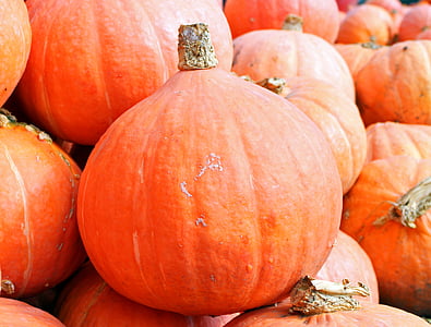 close up photo of orange pumpkin thumbnail