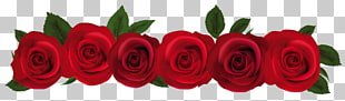 Rose Red , Red Roses , seven red rose flowers illustration PNG clipart