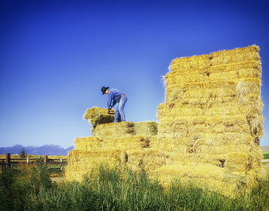 person standing on top of hay stack thumbnail