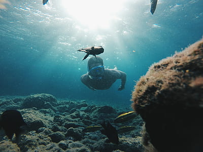 man swimming under the sea thumbnail